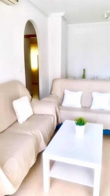 Apartamento - Playa El Campello Urbanizacion Jardin Del Mar Exteriér fotografie