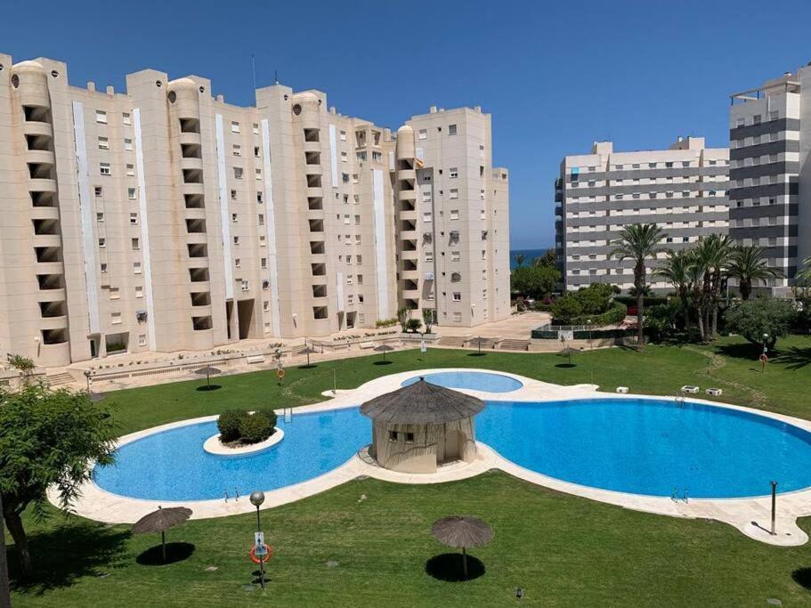 Apartamento - Playa El Campello Urbanizacion Jardin Del Mar Exteriér fotografie